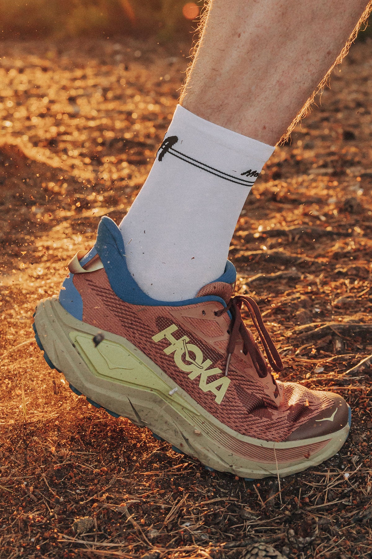 Maverick x Sums Cushion Deluxe Socks - 2 pairs