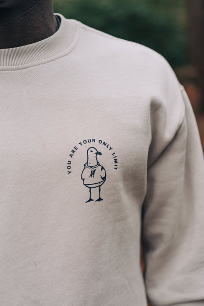 Maverick Seagull Men's Sweater - Bone
