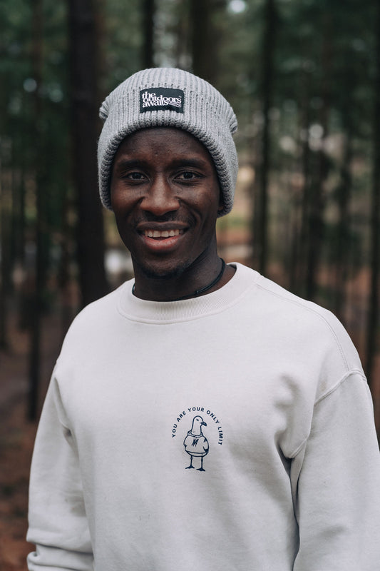 Maverick Seagull Men's Sweater - Bone